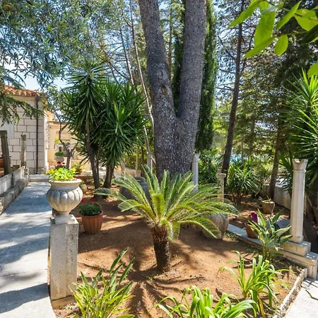 New Luxury Timeless With Private Pool, Free Parking, Seafront, For 6 Persons * קורצולה