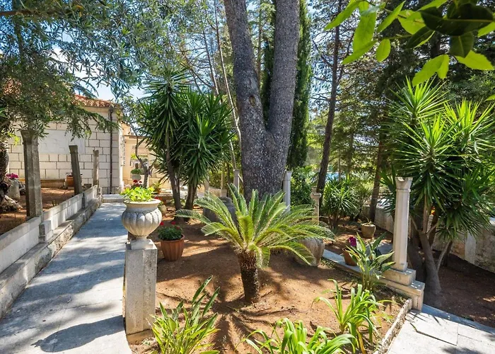 New Luxury Timeless With Private Pool, Free Parking, Seafront, For 6 Persons Villa Korčula